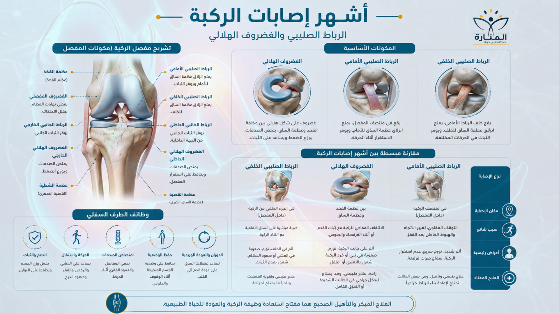تشريح الركبة والقدم بصورة مبسطة ووظيفة كل منهما